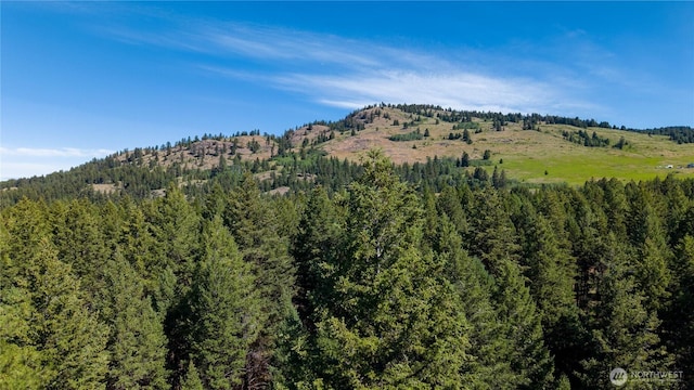 45 Spring Meadow Ln, Oroville, WA 98844