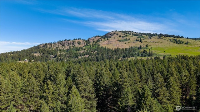 45 Spring Meadow Ln, Oroville, WA 98844