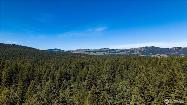 45 Spring Meadow Ln, Oroville, WA 98844