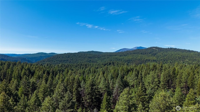 45 Spring Meadow Ln, Oroville, WA 98844