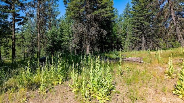 45 Spring Meadow Ln, Oroville, WA 98844