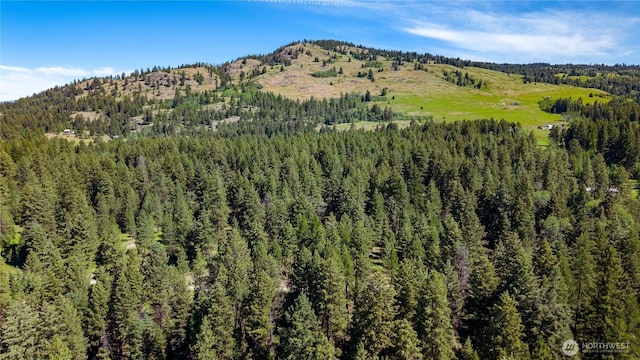 45 Spring Meadow Ln, Oroville, WA 98844