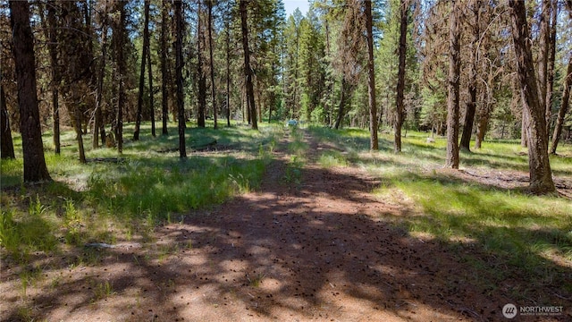 45 Spring Meadow Ln, Oroville, WA 98844