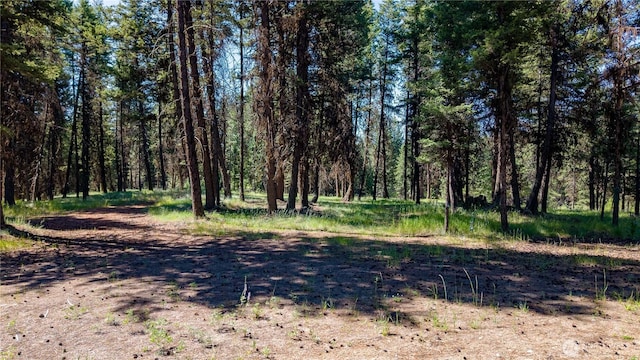 45 Spring Meadow Ln, Oroville, WA 98844
