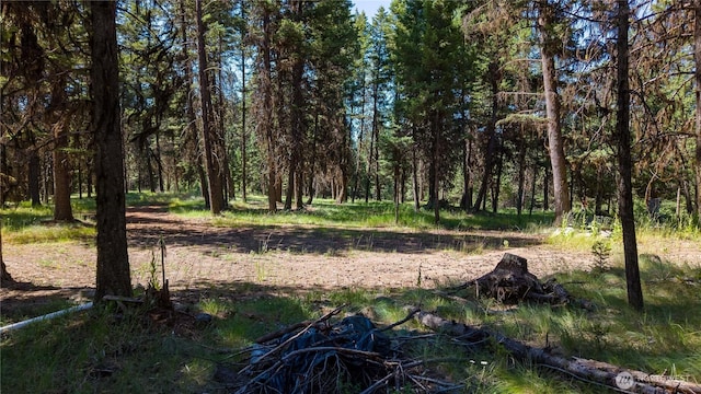 45 Spring Meadow Ln, Oroville, WA 98844