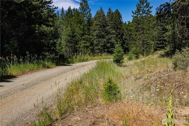 45 Spring Meadow Ln, Oroville, WA 98844