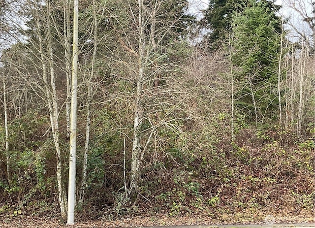6016 S Tyler St, Tacoma, WA 98409
