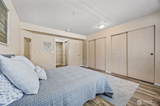 11130 SE 208th St Unit N101, Kent, WA 98031 - bedroom with two closets, electric panel, and wood finished floors