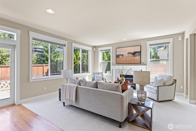 2648 116th Ave NE, Bellevue, WA 98004 - living area featuring a fireplace, recessed lighting, and wood finished floors