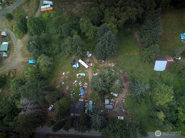 3502 40th Ave SE, Olympia, WA 98501 - photo 4
