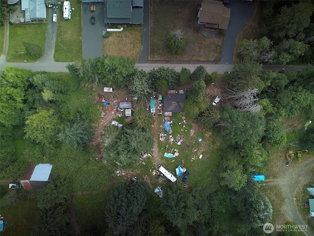 3502 40th Ave SE, Olympia, WA 98501 - photo 6