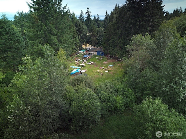 3502 40th Ave SE, Olympia, WA 98501 - photo 8