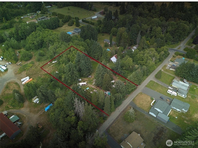 3502 40th Ave SE, Olympia, WA 98501 - photo 1