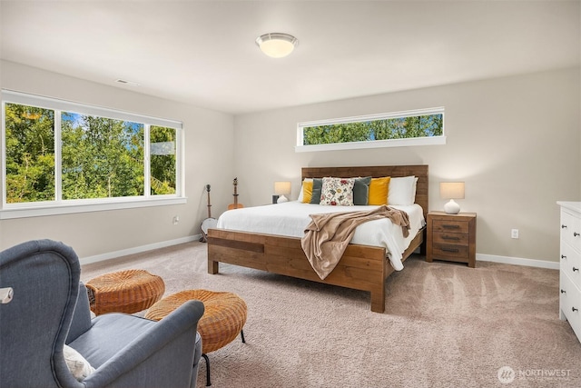20905 60th St SE, Snohomish, WA 98290 - photo 21
