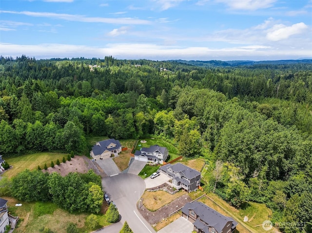 20905 60th St SE, Snohomish, WA 98290 - photo 40