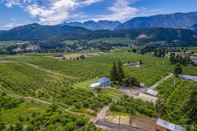 9753 Nibbelink Rd, Peshastin, WA 98847 - view of rural area with rows of crops and mountains