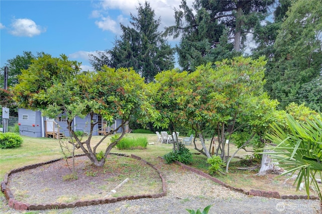 1402 301st Pl, Ocean Park, WA 98640 - view of yard