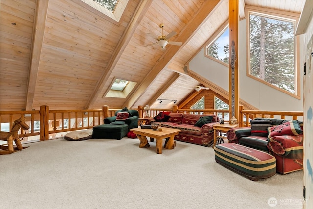 18 Liberty Ln, Winthrop, WA 98862 - photo 14