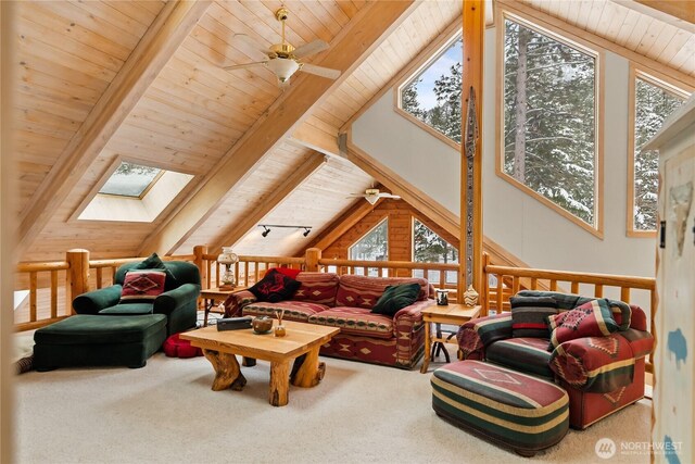 18 Liberty Ln, Winthrop, WA 98862 - photo 22