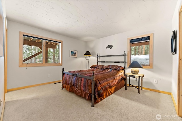 18 Liberty Ln, Winthrop, WA 98862 - photo 27