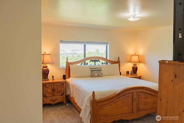1716 N Anne Ave, East Wenatchee, WA 98802 - photo 15