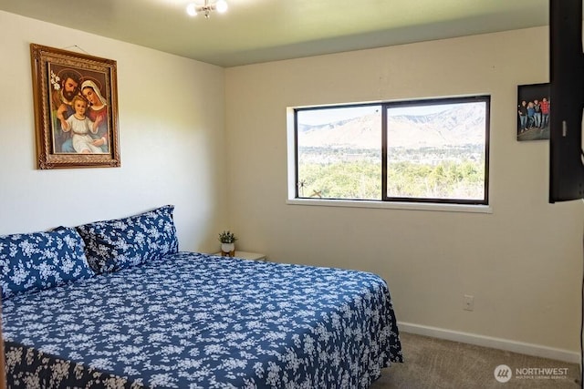 1716 N Anne Ave, East Wenatchee, WA 98802 - photo 20