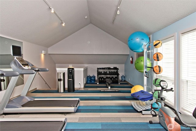 11811 93rd Ln NE Unit 102, Kirkland, WA 98034 - workout area with track lighting, vaulted ceiling, a textured ceiling, and carpet