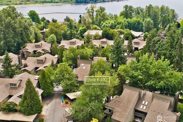 11811 93rd Ln NE Unit 102, Kirkland, WA 98034 - aerial view of residential area featuring a large body of water