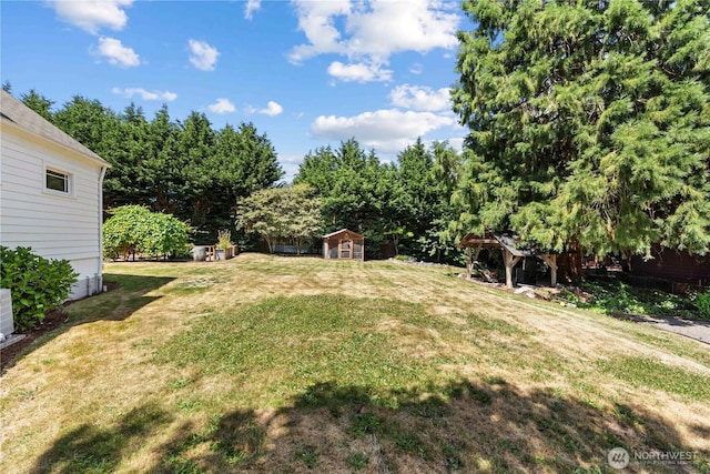 34226 42nd Ave S, Auburn, WA 98001 - view of green lawn with a shed