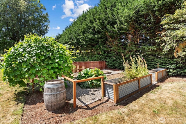 34226 42nd Ave S, Auburn, WA 98001 - view of yard featuring a vegetable garden