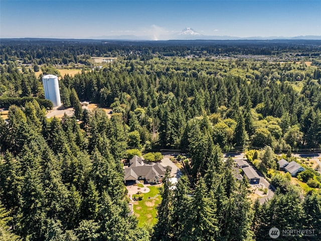 3037 Hoffman Rd, Olympia, WA 98501 - photo 33