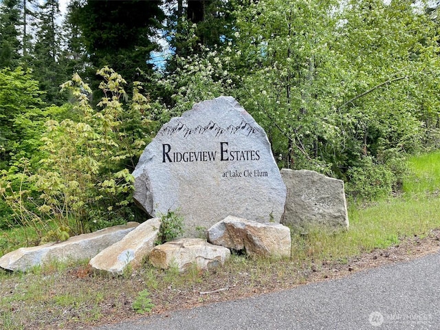 14 Lava Ln, Ronald, WA 98940