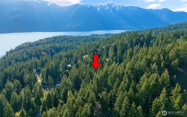 14 Lava Ln, Ronald, WA 98940