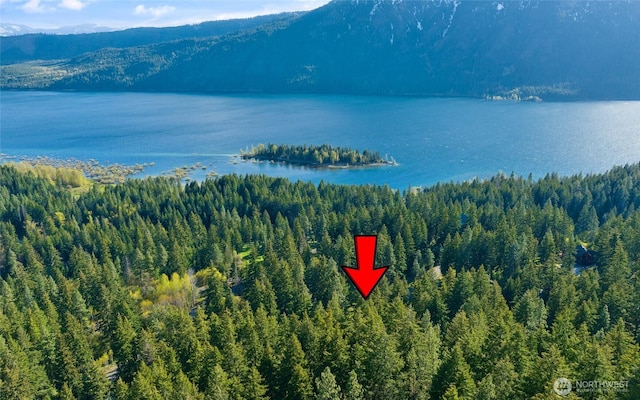 14 Lava Ln, Ronald, WA 98940