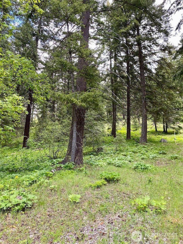 14 Lava Ln, Ronald, WA 98940