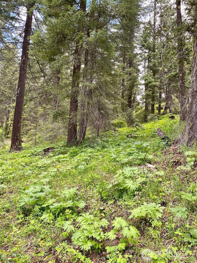 14 Lava Ln, Ronald, WA 98940
