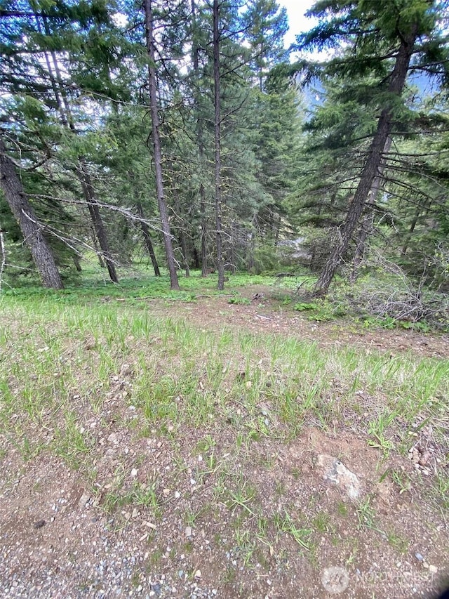14 Lava Ln, Ronald, WA 98940