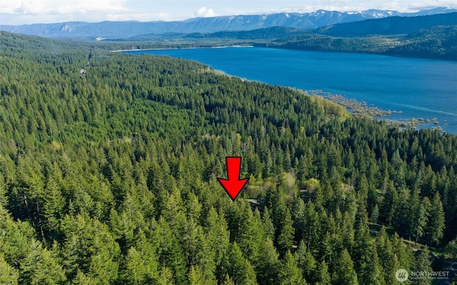 14 Lava Ln, Ronald, WA 98940