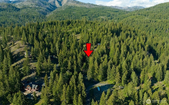 14 Lava Ln, Ronald, WA 98940