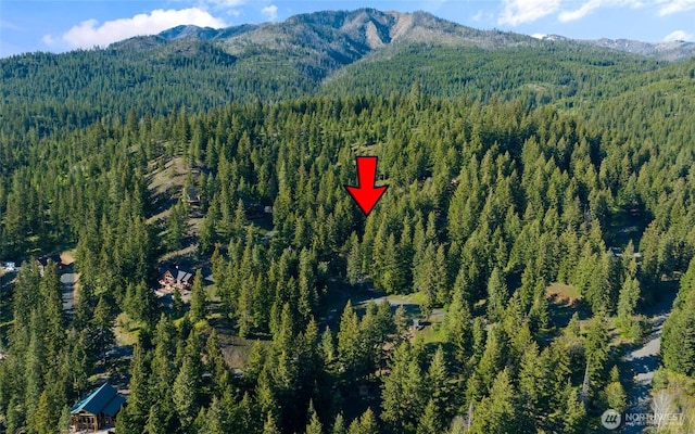 14 Lava Ln, Ronald, WA 98940