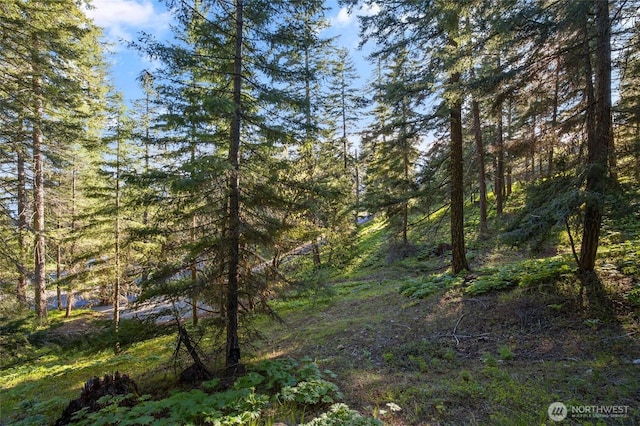 14 Lava Ln, Ronald, WA 98940