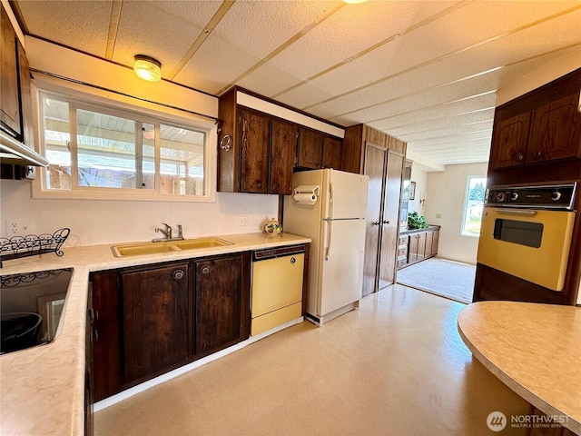 1519 Alonda Ln NE, Olympia, WA 98516 - kitchen with wall oven, dishwasher, freestanding refrigerator, dark brown cabinetry, and light countertops