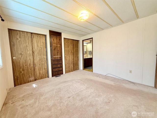 1519 Alonda Ln NE, Olympia, WA 98516 - unfurnished bedroom featuring two closets, carpet floors, a decorative wall, and a textured ceiling