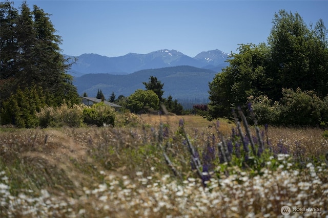 503 Roberson Rd, Sequim, WA 98382