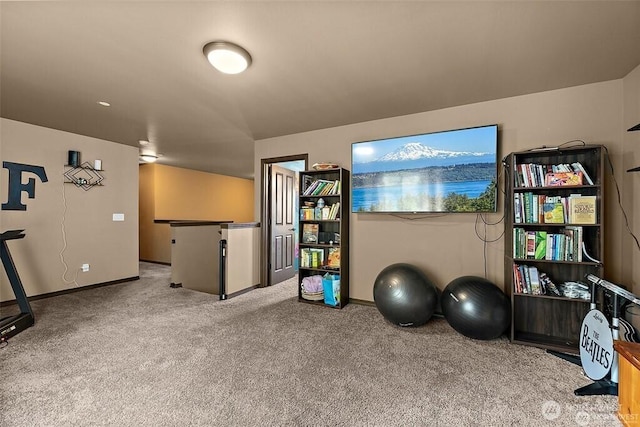 16908 61st St NW, Vaughn, WA 98394 - workout room with carpet flooring and baseboards