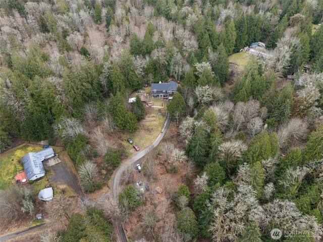 16908 61st St NW, Vaughn, WA 98394 - aerial view of property's location