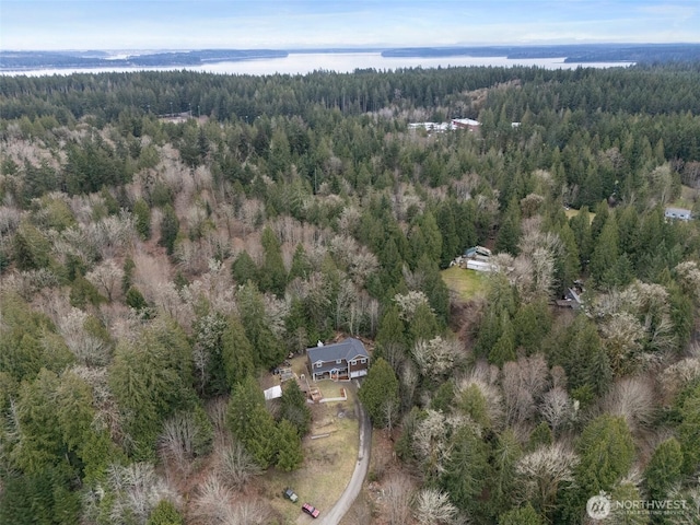 16908 61st St NW, Vaughn, WA 98394 - aerial view of a forest and a nearby body of water