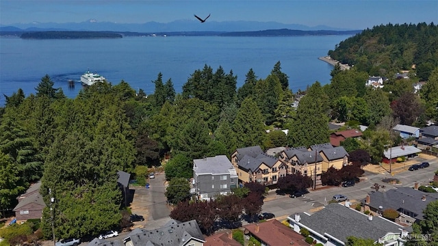9113 45th Ave SW, Seattle, WA 98136 - photo 32