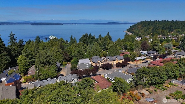 9113 45th Ave SW, Seattle, WA 98136 - photo 33