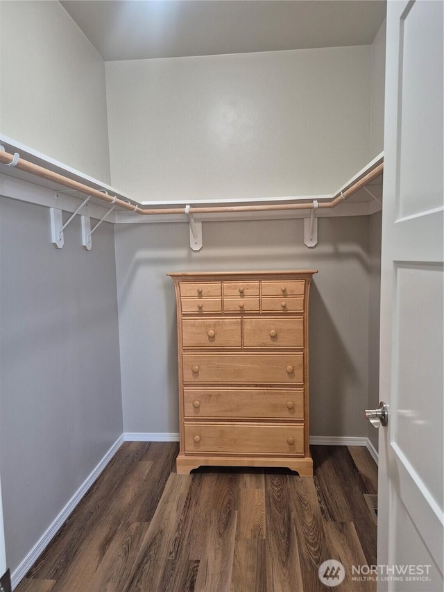 420 Hammond Ln, Rock Island, WA 98850 - walk in closet featuring dark wood finished floors
